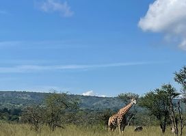 Legendary Tours and Travel Rwanda
