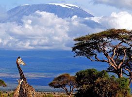 African foot adventure arusha