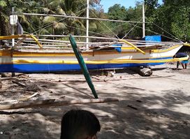 Ver De Puerto Princesa