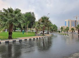 Waterfall Park