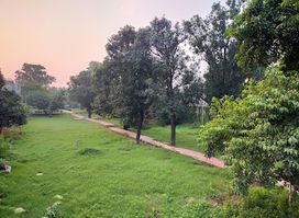 Mango Grove park