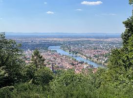 Rindenhäuschen