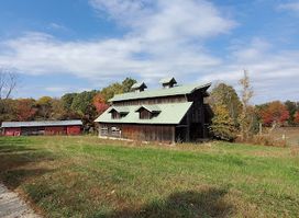 Lazy Black Bear Barn
