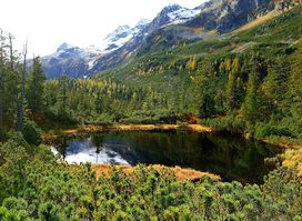 Wiegenwald Weißsee