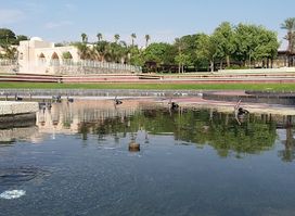 Musical Fountain Eilat