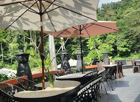 Jungle Inn and Restaurant