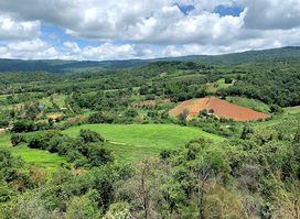 Phu Ruea