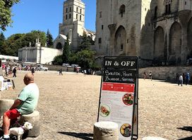 Visite Avignon