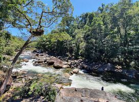 Mossman Gorge