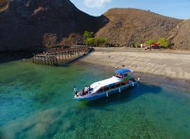 Info tour komodo & AVRILA ADVENTURE