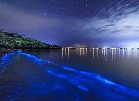 Bahía Bioluminiscente