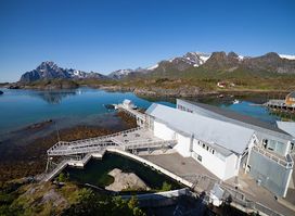 Lofotakvariet - The Lofoten Aquarium