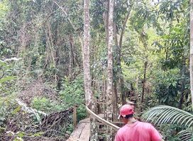 Sloth Island