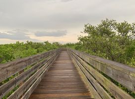 Robert K Rees Memorial Park