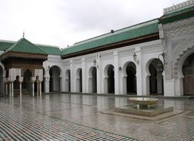 Things to do In Fez