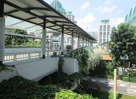 Images of Singapore LIVE