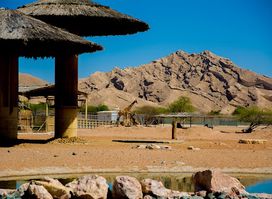 Al Ain Zoo