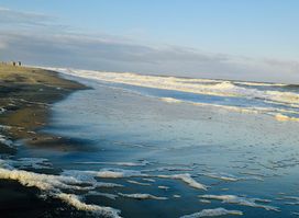 Chincoteague Island