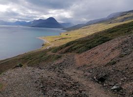 Vöðlavík