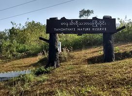 Tanintharyi Nature Reserve