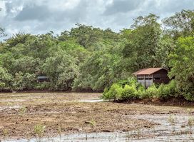Bird Observation Hide 1D