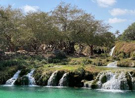 Salalah Glory Tours