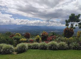 Finca el Piura