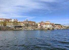 Cruzeiros no Douro