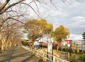 Shinkansen Park