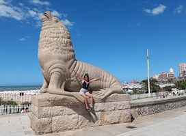 Los Lobos Mar Del Plata