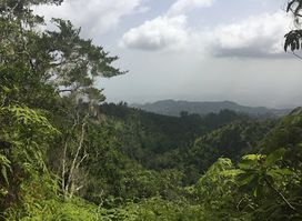 Blue Mountain Peak