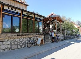 Zlatni Papagaj
