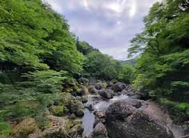 Fukuroda Falls