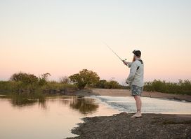 Million Dollar Fish