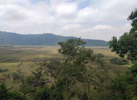Ngurdoto Crater
