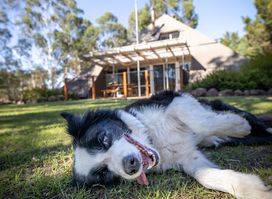 Grampians Getaway