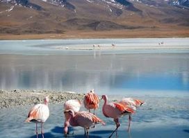 Salty Desert Aventours