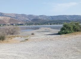 Salt Lake Stables Horse Riding Kos
