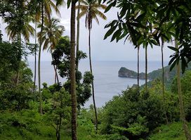 Morne Coubaril Historical Adventure Park