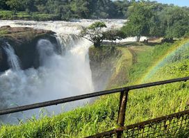 Murchison Falls National Park Safari