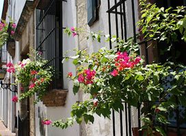 Callejón de los Curas - Entrada