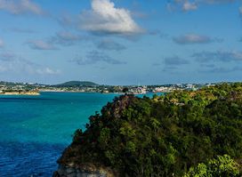 The Cove