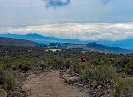 JAYNEVY TOURS CO L.T.D Best Tanzania Tours & Safari Company in Serengeti|Kilimanjaro Climbing Operators.
