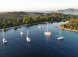 Pelorus Bay
