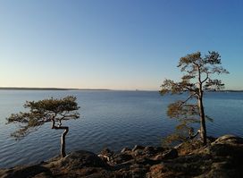 Ruissalo