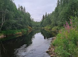 Auttiköngäs