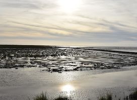 Noard Fryslan Butendyks