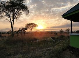 Safaris Partners