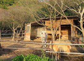 Awajijanohire Outdoor Resort