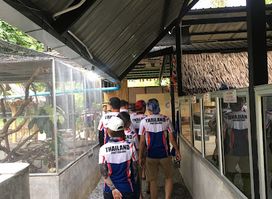 Cobra Show Thailand